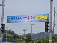 여기로 오세요... 반딧불이 별천지가 펼쳐집니다