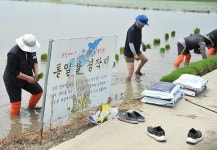 한반도에 평화의 물꼬 트고 통일의 모 심자