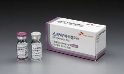 질병청 스카이바리셀라주 수두 백신 안전성에 특이사항 없어, 다만...