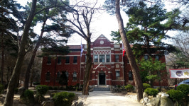 천도교 청년당활동, 아들 피살 당해