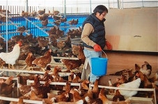 은퇴 후 개인택시를 고민하는 분들께 답합니다