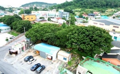 원동 팽나무 군락지는 옛적 레지던스가 있던 곳일지 모른다