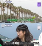 돌도 많고 마음씨 고운 금능으로 오세요