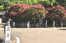 활짝 핀 꽃에 사나운 더위도 잠시 잊었다