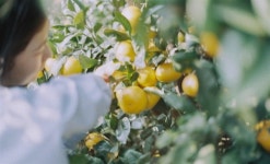 폭염에 농산물 가격도 상승... 밥상 물가 위협하는 기후플레이션