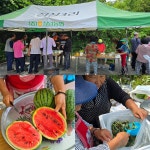 낮과 밤이 다른 마을... 주민들이 더 신났습니다