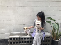 유기 동물도 어리고 예쁜 애만 입양하더군요