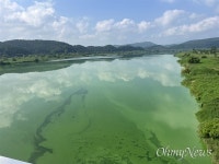 [사진] 낙동강 녹조 창궐 심각, 정부는 하늘만 쳐다보는 듯