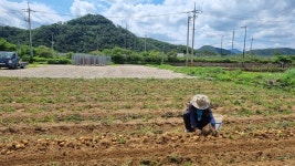 헉, 숨막히는 사진... 비건 쌀 빵의 사연