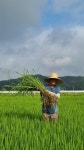 헉, 숨막히는 사진... 비건 쌀 빵의 사연