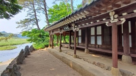 한 번 보고 두 번 보고 자꾸만 보고 싶네