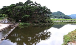 한 번 보고 두 번 보고 자꾸만 보고 싶네