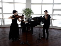 [사진] 바다 배경으로 열린 클래식 음악회, 홍성의 음악으로 시원한 예술 힐링