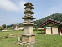 50여 명이 모두 침묵하면서 함께 걸어다닌 이유