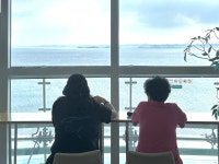 홍성 스카이타워, 누적 관광객 6만 돌파... 지역 명소로 떠올라