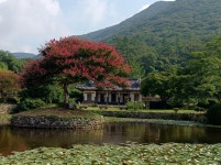 누구나 맞는 죽음, 근데 그 모습이 다 같진 않구나