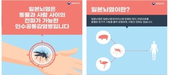 질병청, 올해 첫 일본뇌염 환자 2명 발생... 