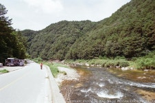 정선 한 카페 구석에서 발견한 먼지 쌓인 보물