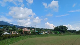 여수서 돈 자랑 말라는데, 장흥에선 OO자랑 말라네요