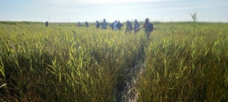 이름도 없는 갯벌이었는데... 너무 아름다워서 유명해진 곳