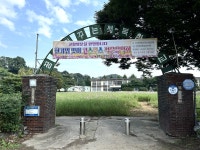 [사진] 폐교에 이것 심었더니, 사람들이 찾아옵니다