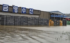 폭우에 수산물 가공단지 침수... 멸치공장 망연자실