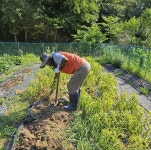 은퇴 이후 체중이 줄어서 신경 쓰입니다