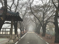 늘, 밥만 먹으며 늙어갈  순 없다