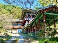 Foto de resultados de búsqueda de Naver 1