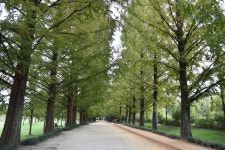 어서 와! 담양에서 캠핑은 처음이지