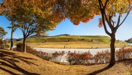 쌤소신세계김해 | [김해] 가야고분 세계유산 등재 1년, 기념행사 다양