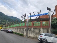 학교 교정 수십 그루, 잎 있는 가을에 닭발나무 만들어 논란