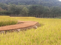 가마솥밥이 단돈 2천원, 이천으로 달려가세요