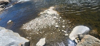 올해 극심했던 원당천 녹조, 원인 규명 나선다