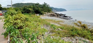 국가명승 정도리 구계등에 무슨 일이... 주민·관광객 눈살