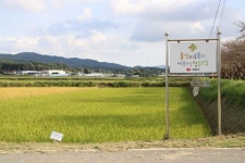 마을에 우리 병원이 있을 때 생기는 일