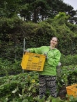 브리질 학생이 첫 해외여행으로 한국을 선택한 이유