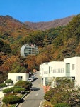 예술로 샤워하고 싶다면 이곳을 추천하겠습니다