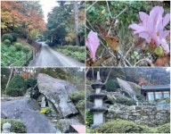 이성계가 기도하려 약수 떴다는 곳, 예사롭지 않네