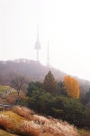 [사진] 형형색색, 짧은 가을 즐기기 딱인 남산