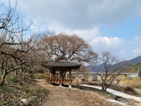 윤슬과 갈대밭, 선비들 왜 쉬어갔는지 알 만한 곳