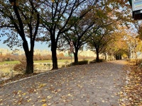 안양천 산책로를 걷다가 얼굴을 찌푸린 까닭