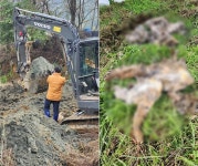 20년전 돼지사체 묻은 농장, 토지주-전 농장주 경찰 고발
