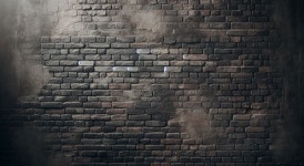 탈북도 했으니 뭐든 할 수 있다? 개인기는 한계가 있다