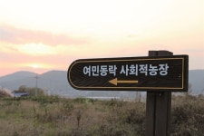 일부러 우유 사는 어르신, 덥석 땀 흘려 일하는 청년