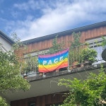 환경 수도, 프라이부르크에서 녹색정치를 생각하다