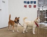 탄광 인근 미술관, 사람들 모이는 사랑방 된 사연