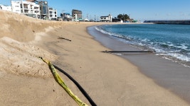 동해안 해변, 침식 심각... 붕괴 위험에 전문가 진단 나서