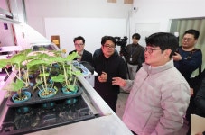 농진청 기술이전 연간 1300건… 특용작물 육묘 수직농장 주목