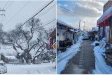 달빛 예촌 여미리 마을, 수선화 피면 꼭 오세요